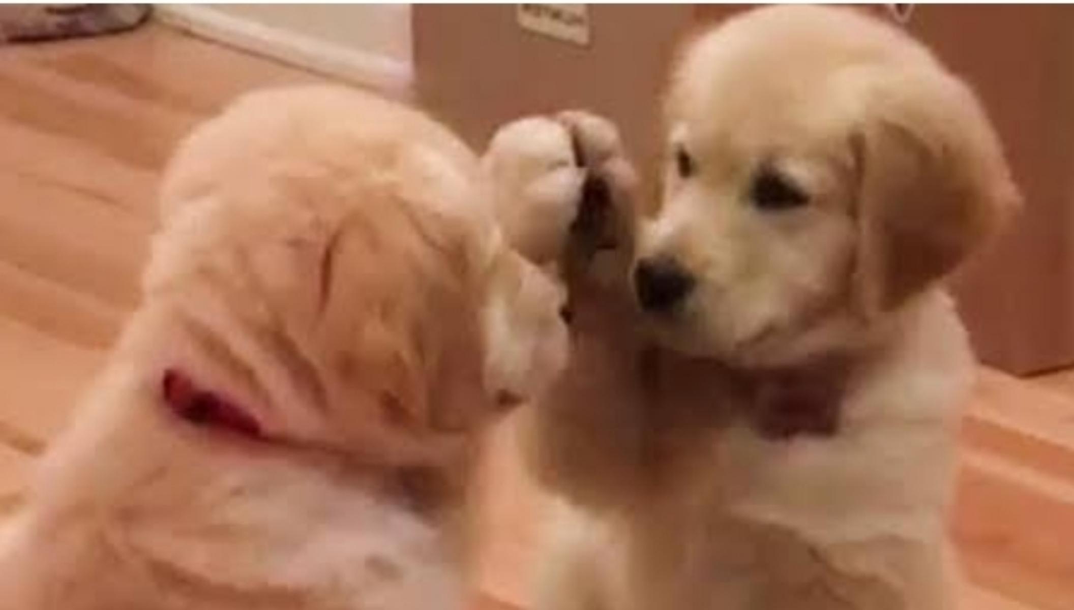 Give yourself a high five! 