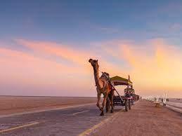 Rann Utsav