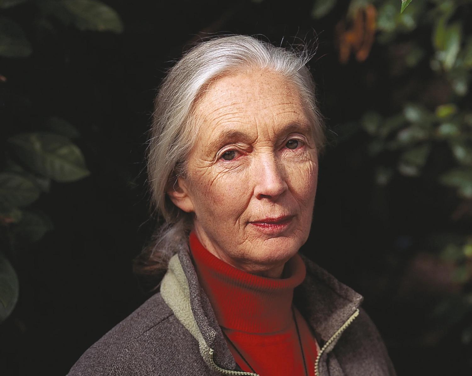 Jane Goodall