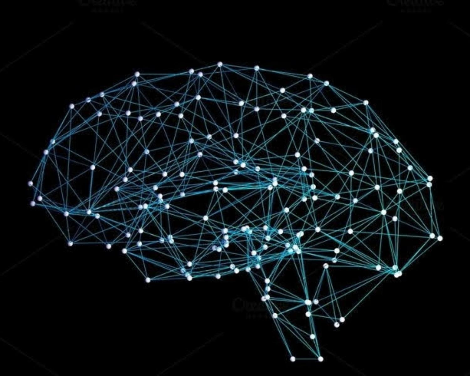 What Does the Neurobiology of Intuition Have to Say? 