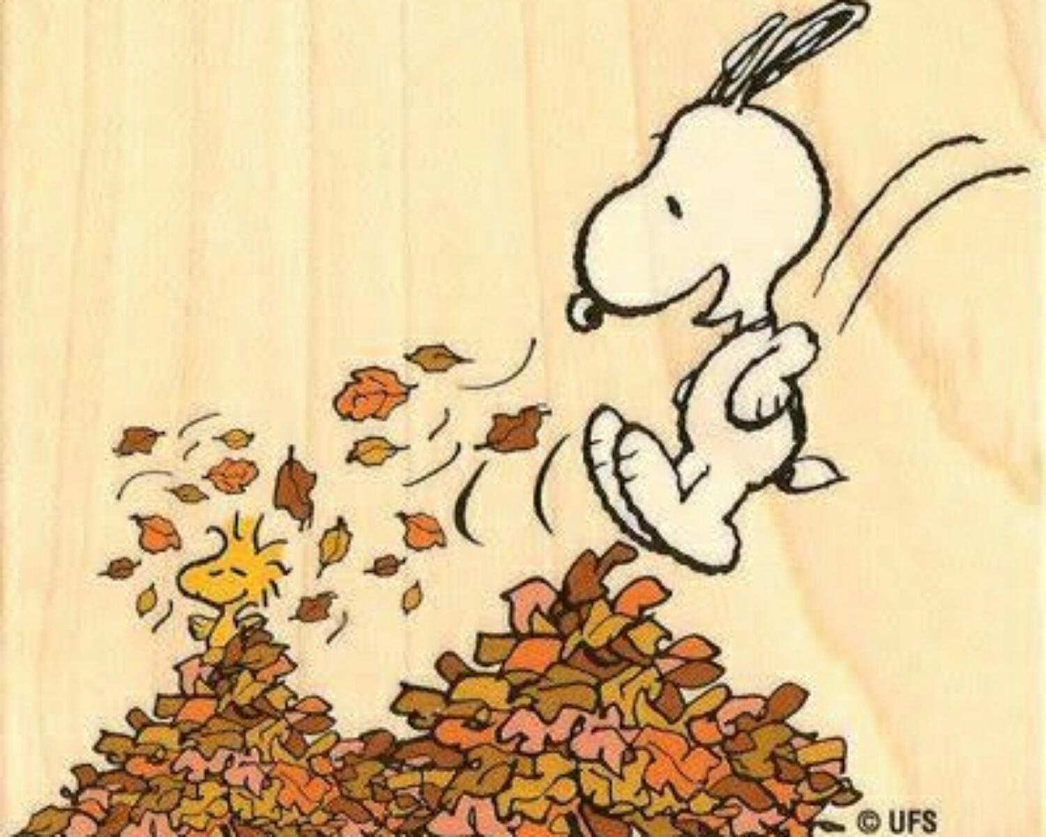 10. Enjoy the simple things
