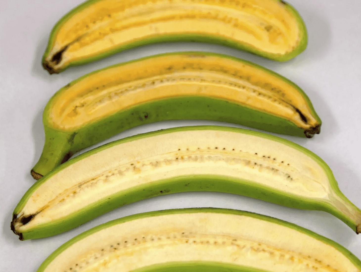Genetically Modified Organisms (GMOs)