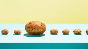 The Production of Genetically Modified Food