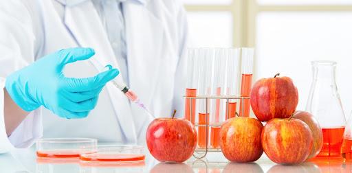 Main Issues Concerning Human Health