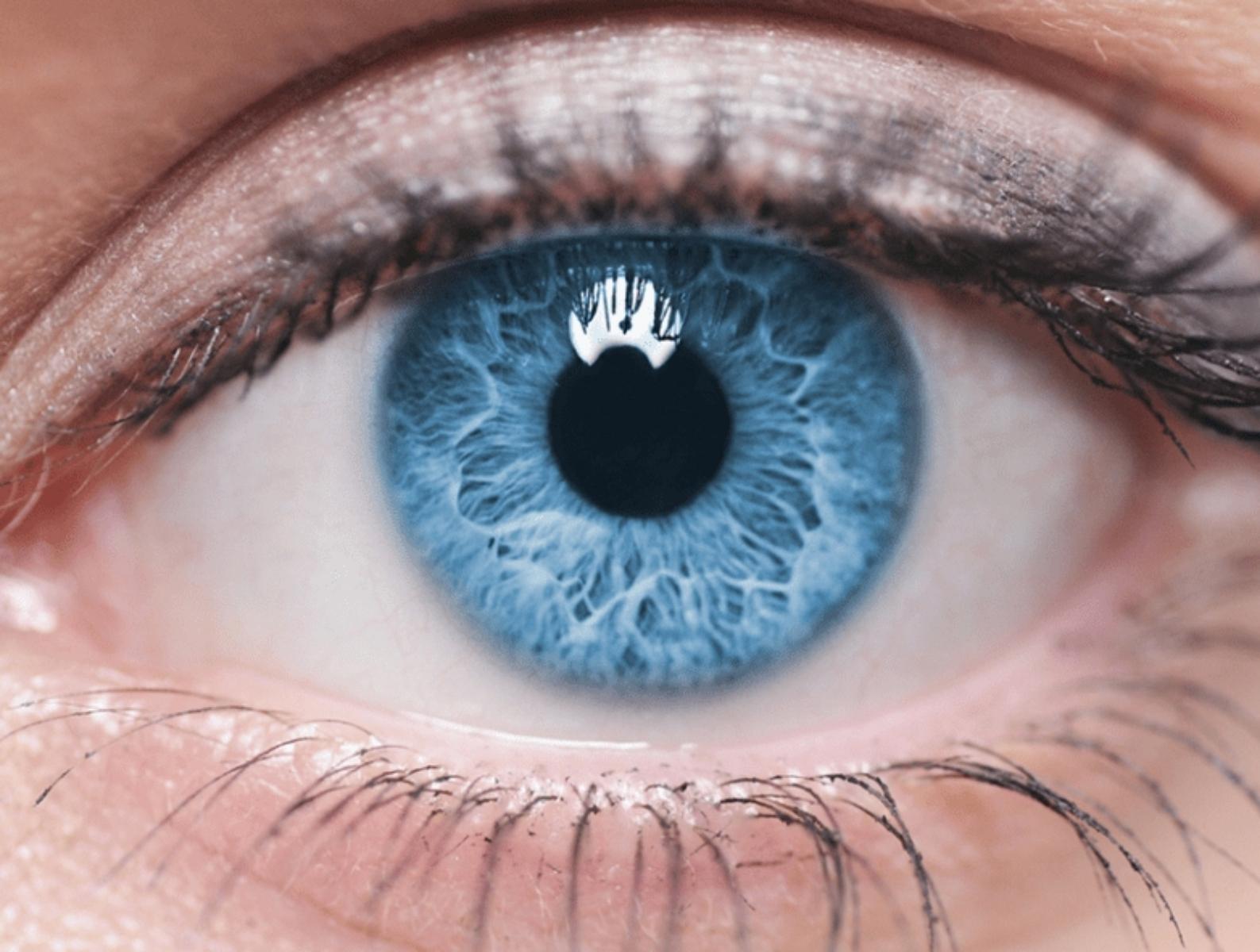 How To Take Care of Your Eyes Properly