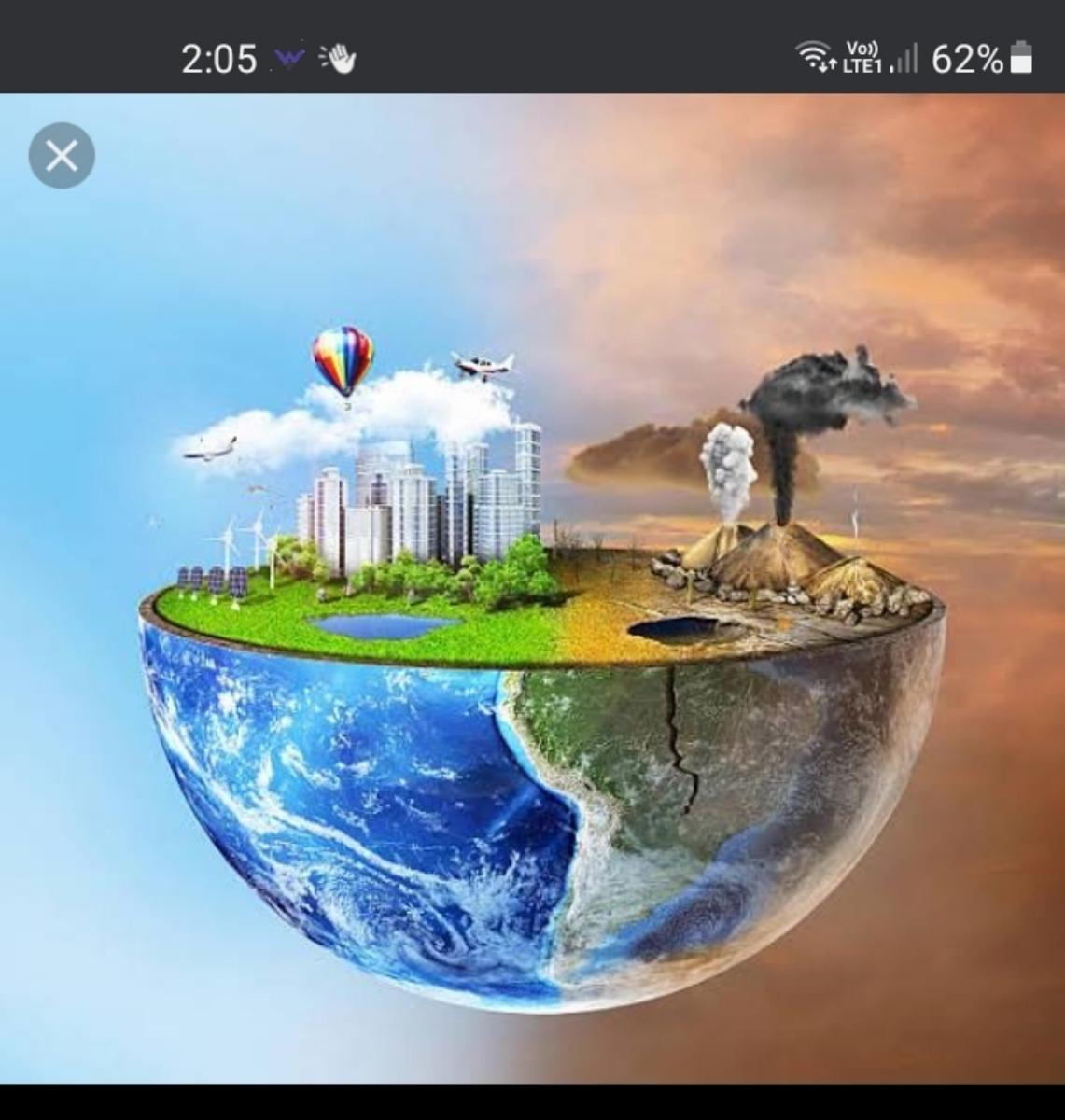 12 Ways You Can Protect The Environment 