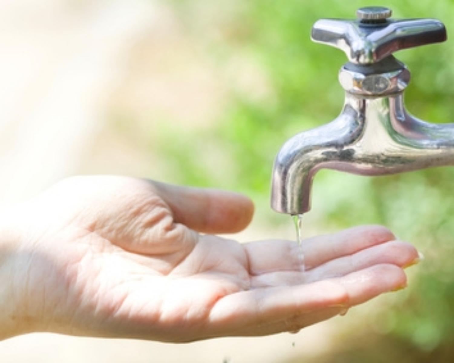 <p>*Collect and use rainwater ...