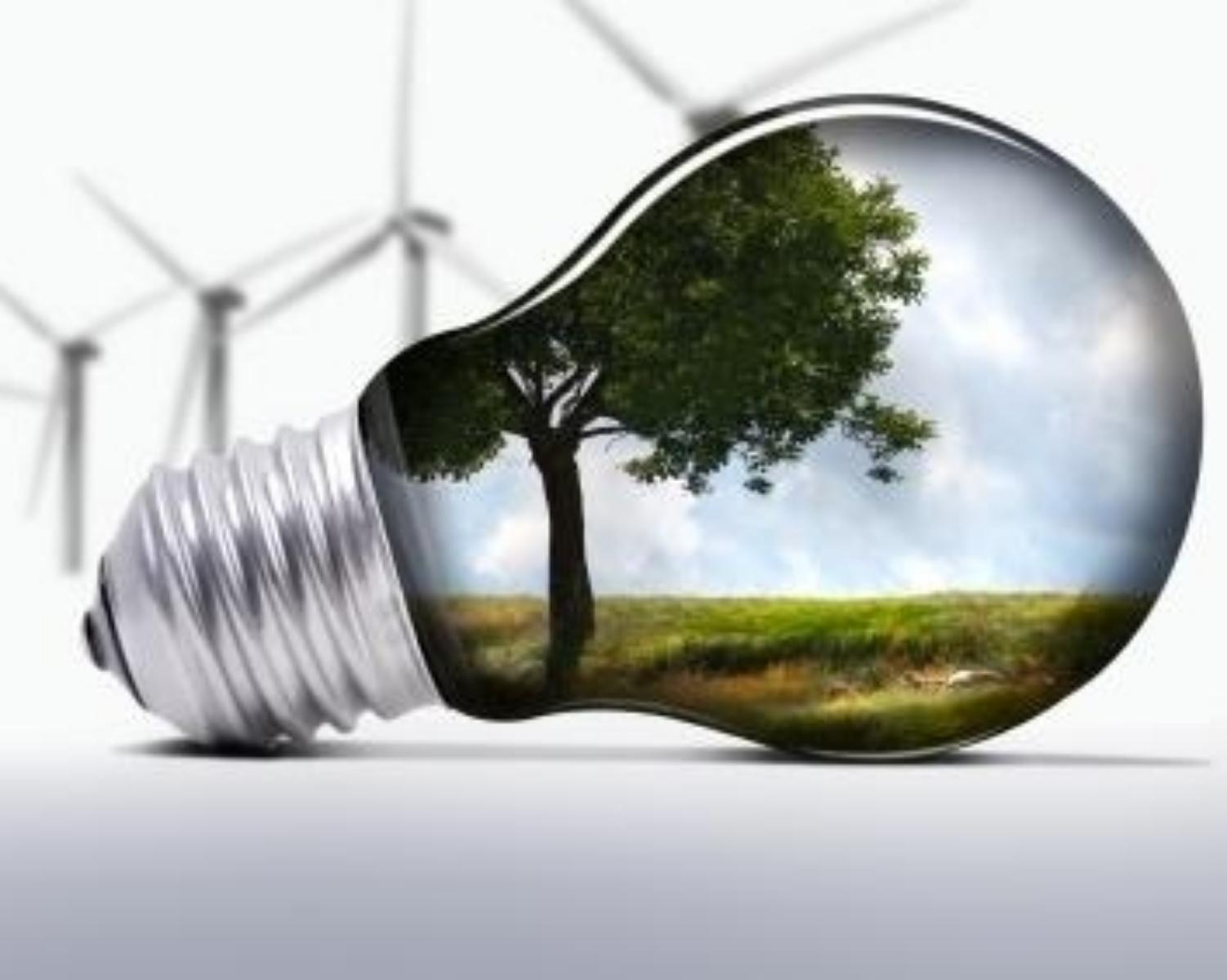 12.Conserve electricity