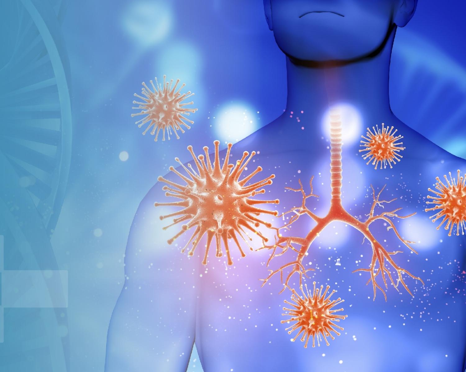 <p>“A truly healthy immune sys...