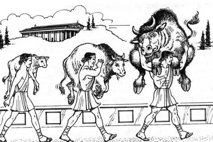 Who was Milo and why was he carrying a calf?