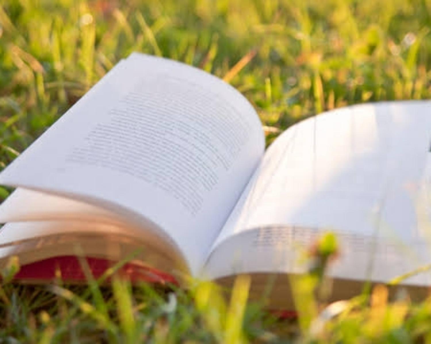 Why Read This Book?