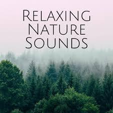 Relaxing Nature Sounds