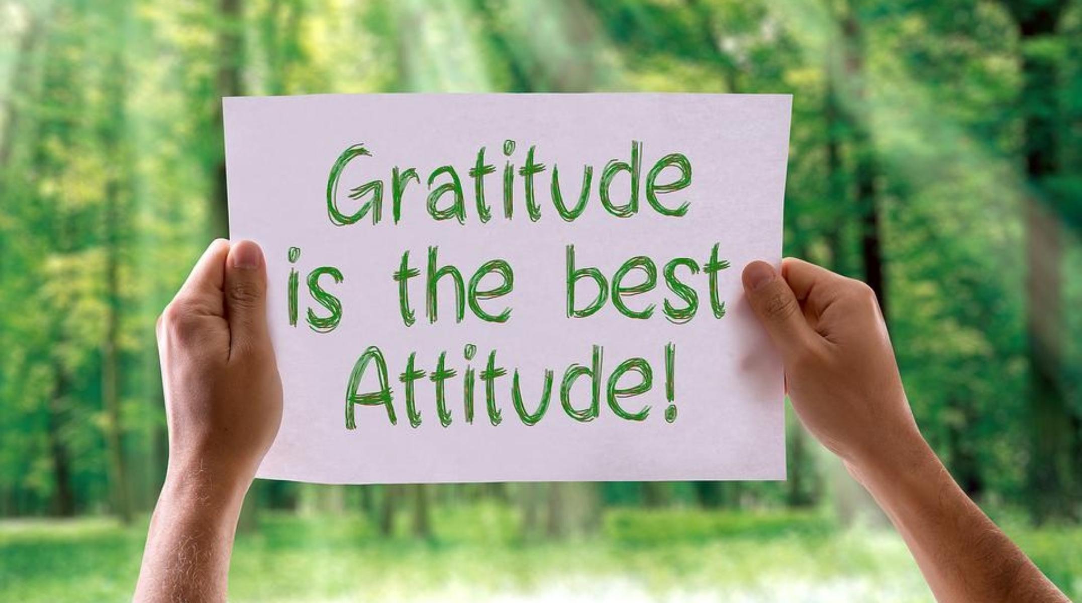 16. Follow Gratitude.