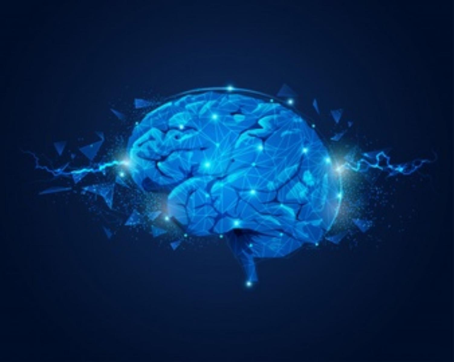 The Mystery of Human Brain