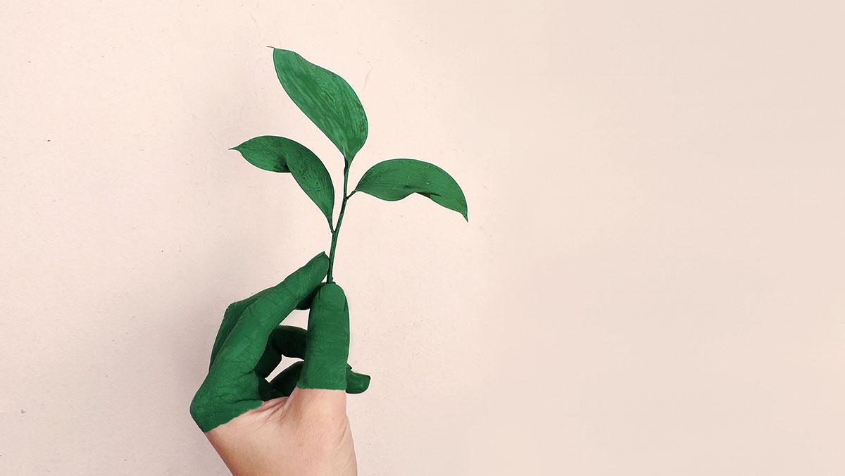 The Principles Behind Efficient Brand Sustainability