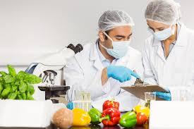 Research On The Health Halo Effect