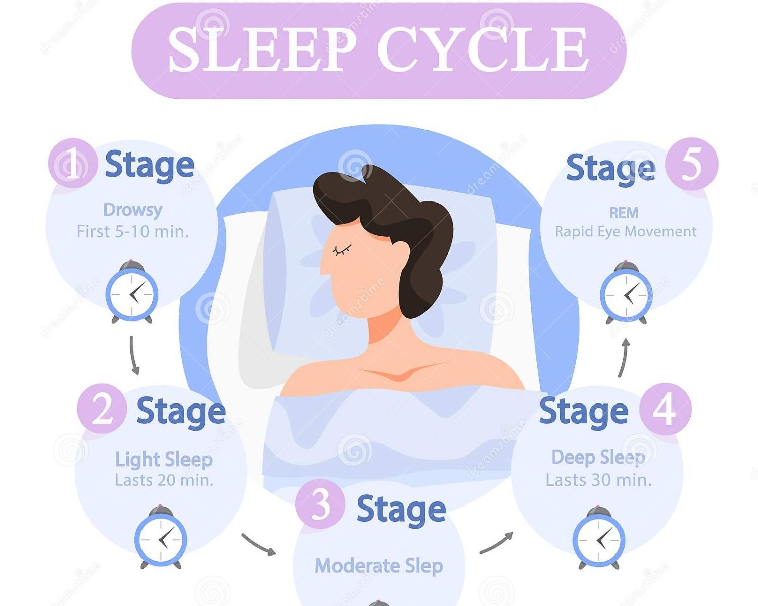 Sleep Stages