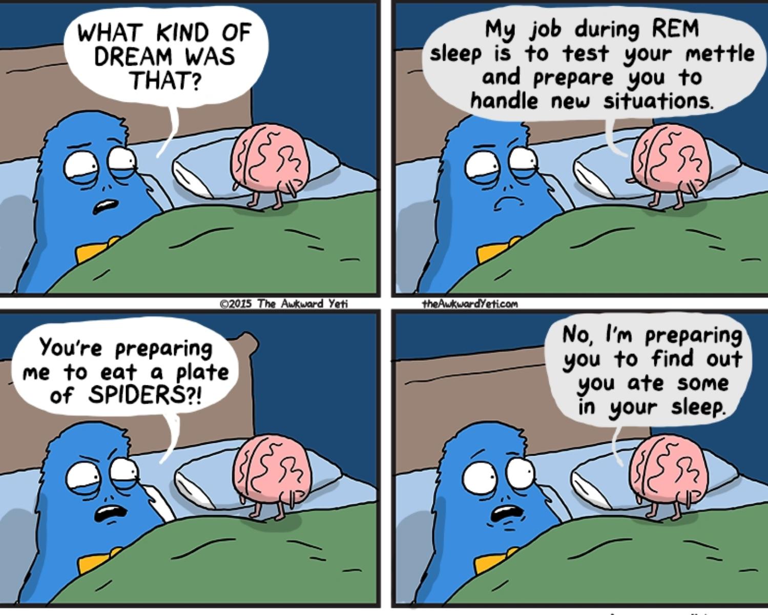 REM Sleep