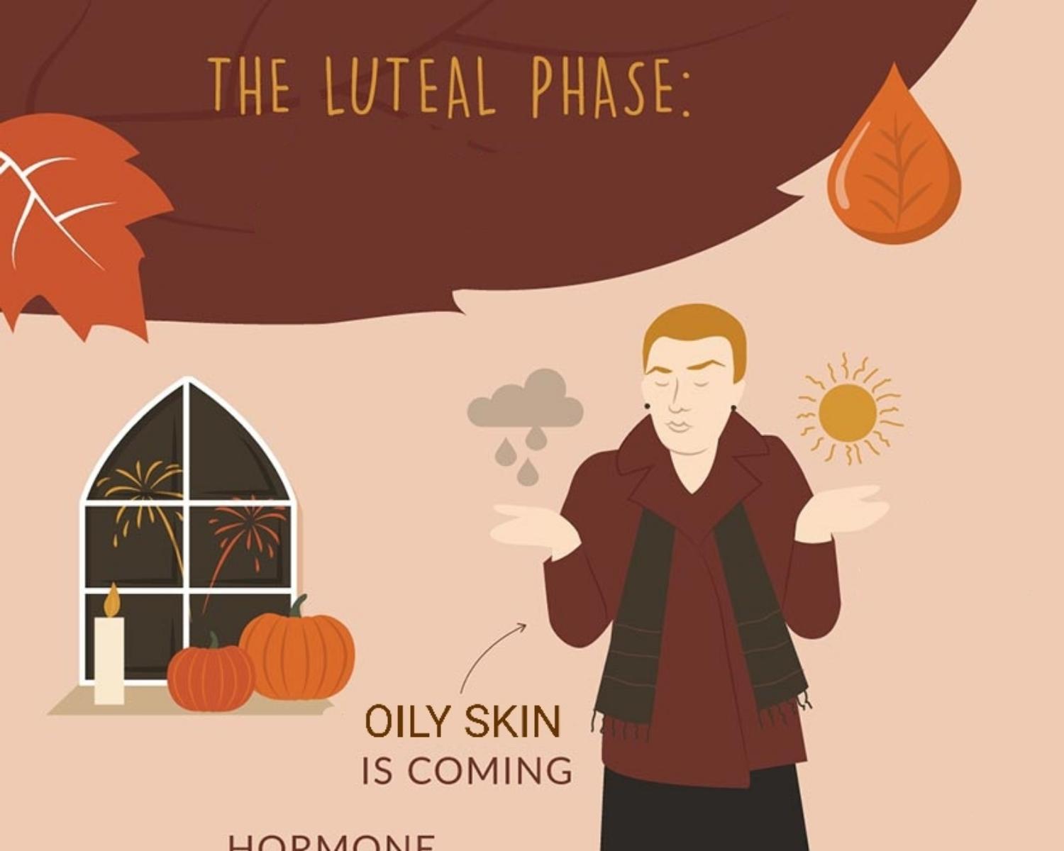 Luteal Phase (Pre-Menstruation: Day 17-28)