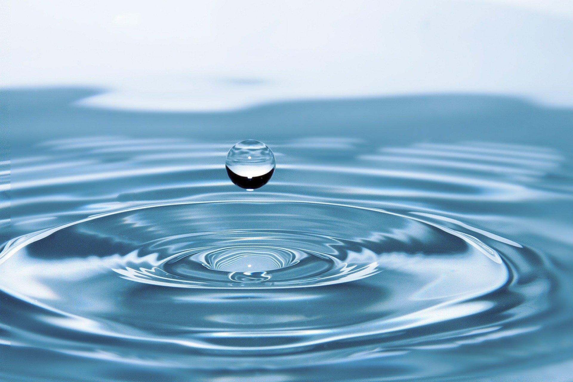 React to drama with a mind like water