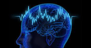 Focus And The Brain