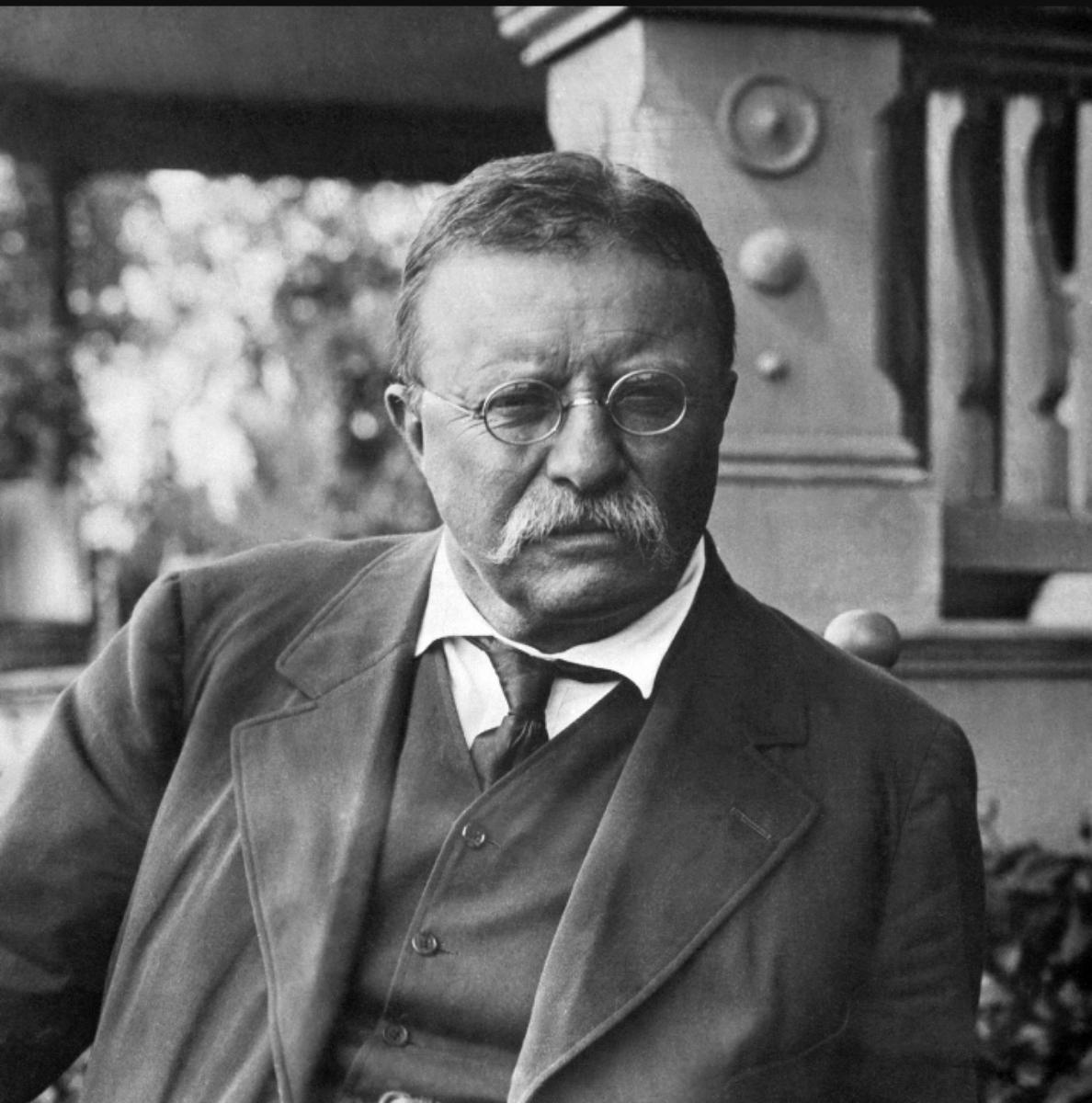 THEODORE ROOSEVELT