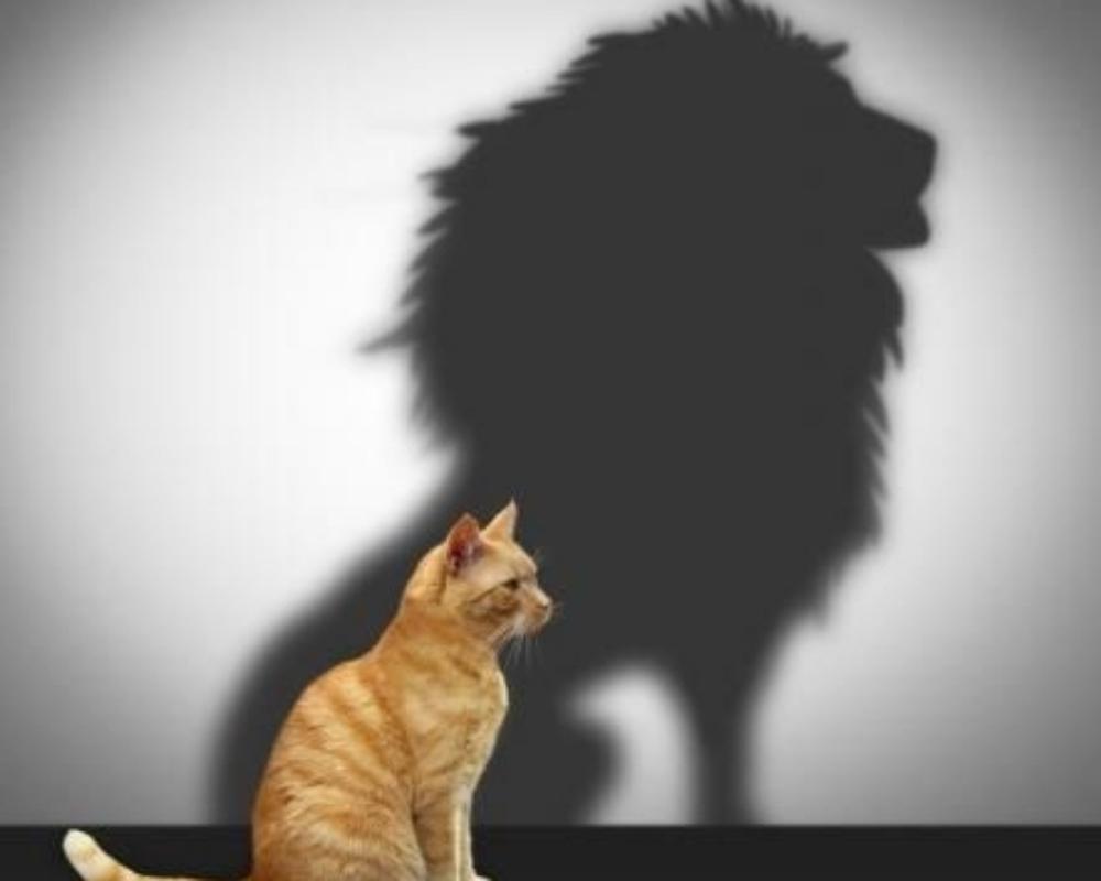 How to Change Your Mindset