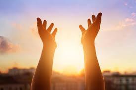 Your search for fulfillment