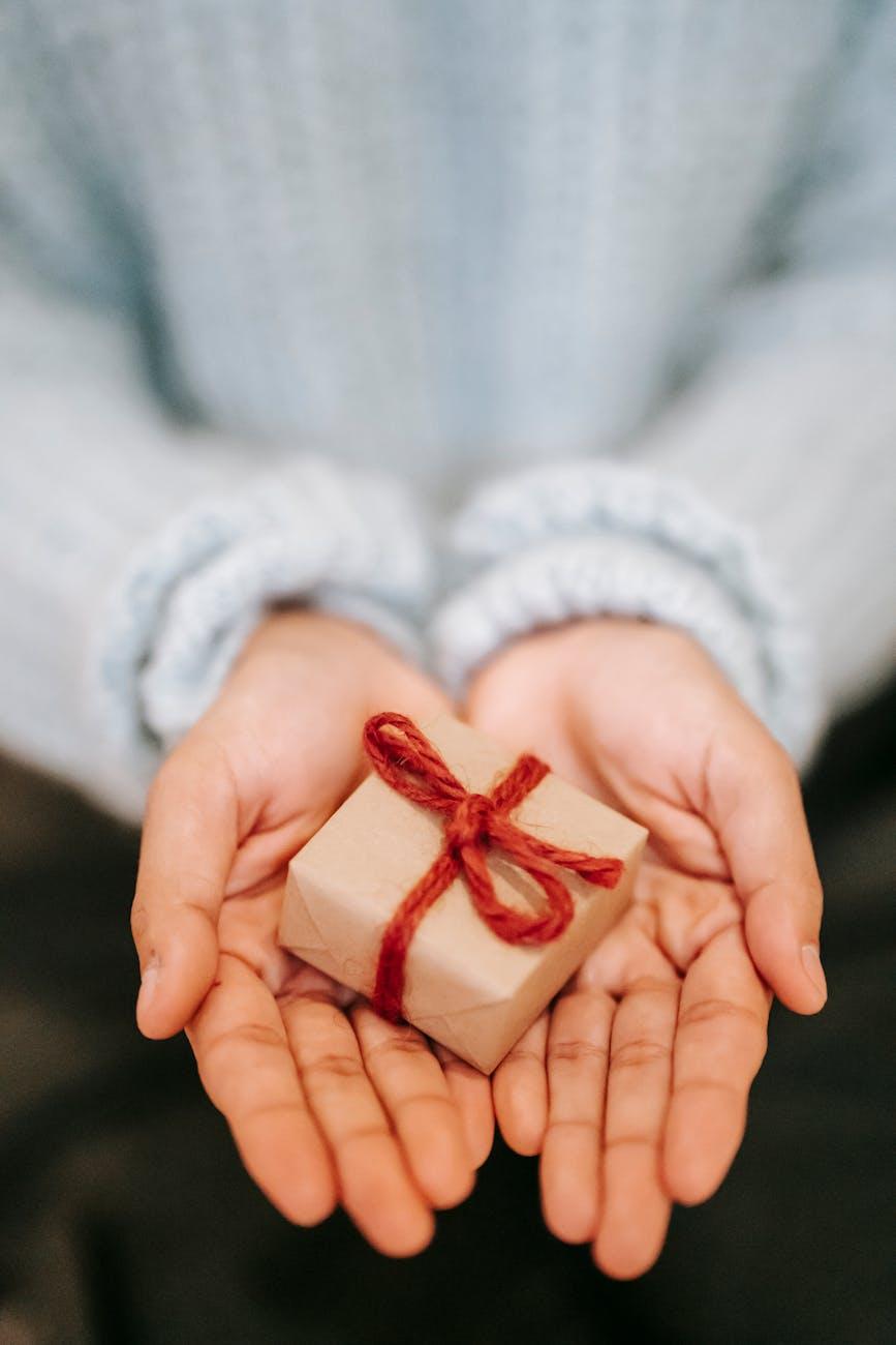 What is a Nonprofit and How You Can Get Involved!