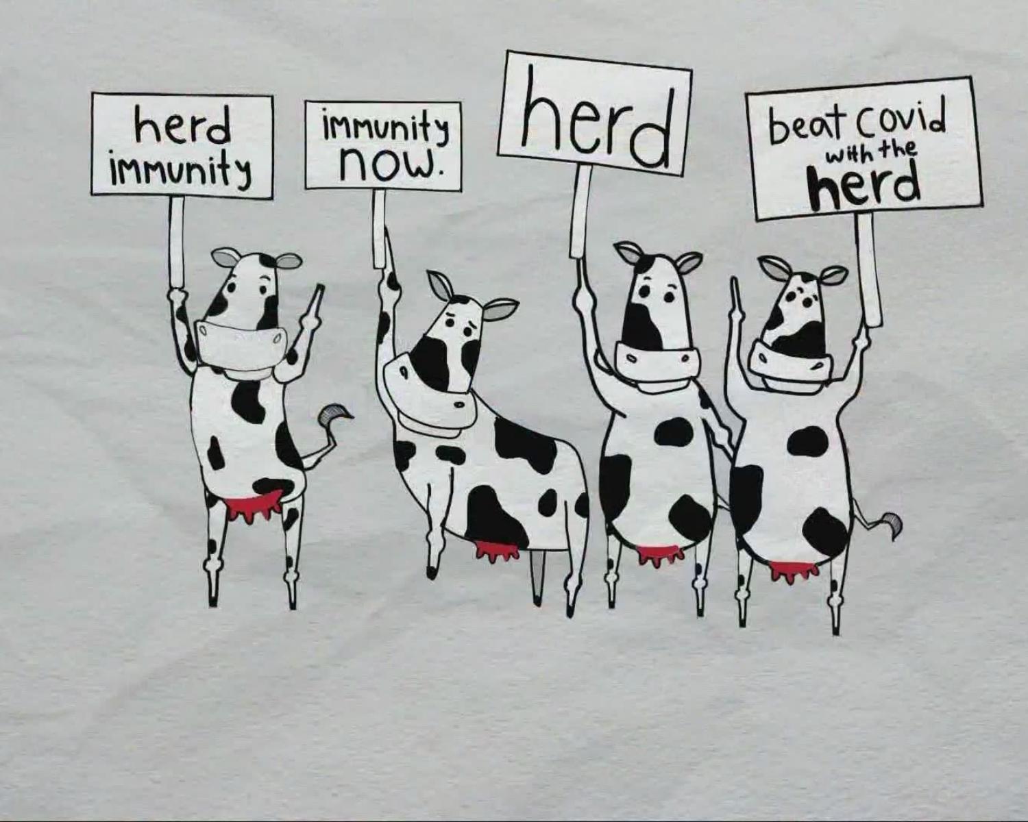 Herd Immunity