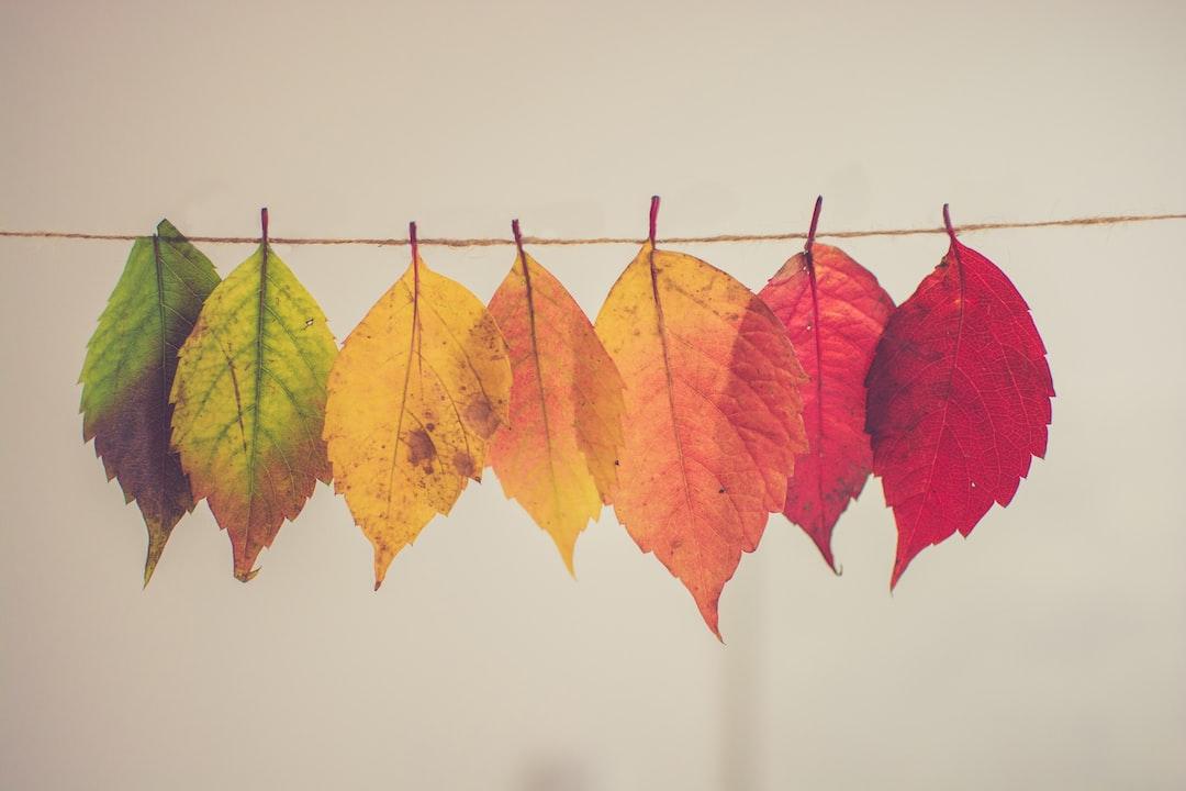 Making an Impactful Change: Kickstart Your 2024 with Purpose