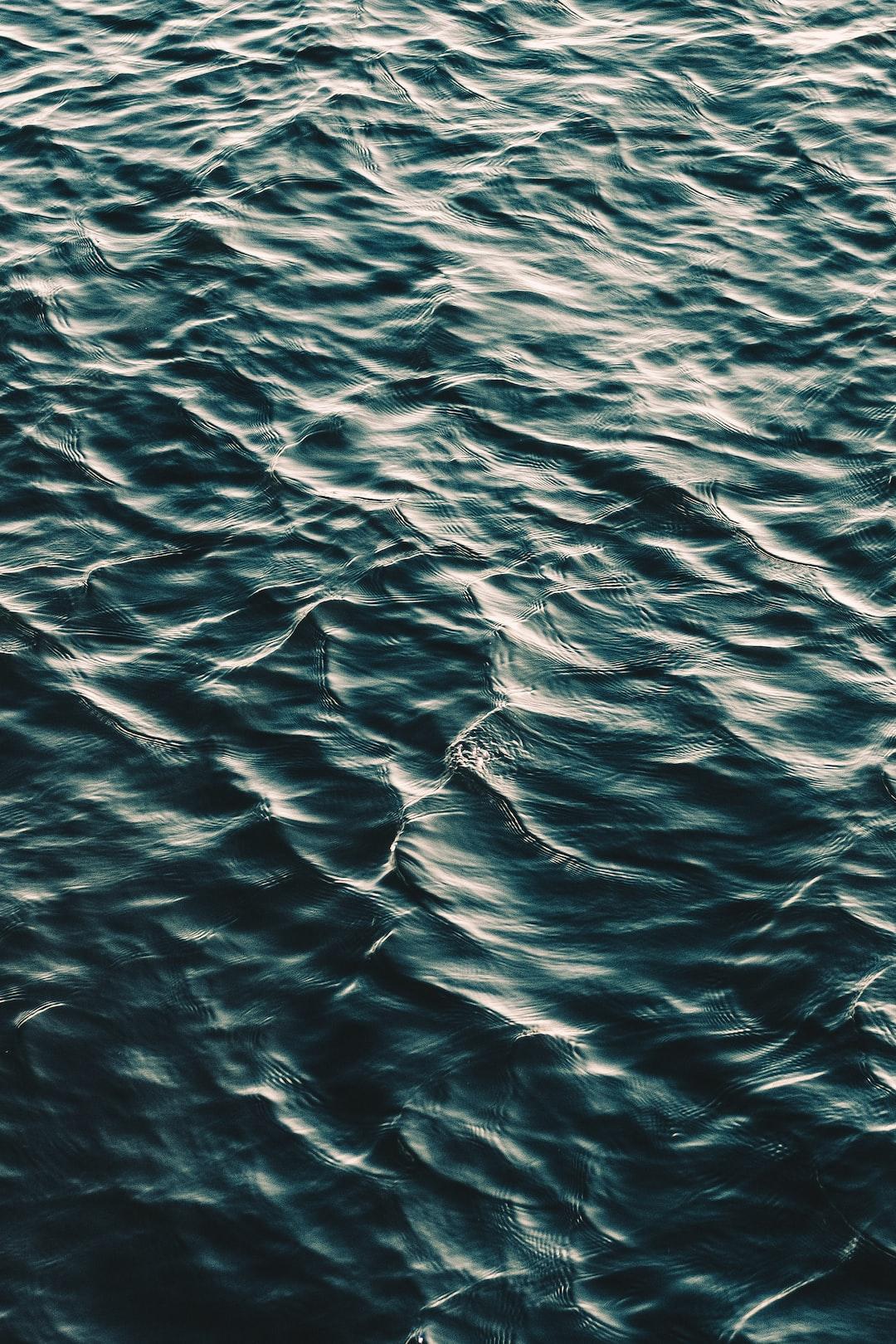 Hydration and Health: Quenching Your Body's Thirst for Growth