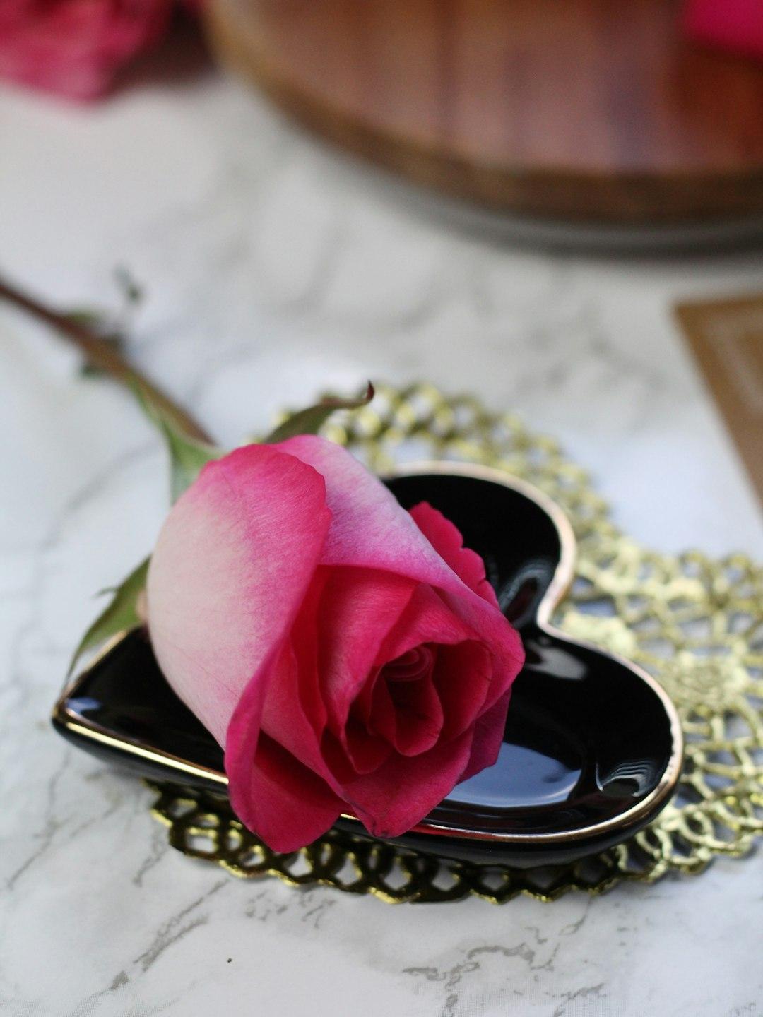 How to romanticize studying?