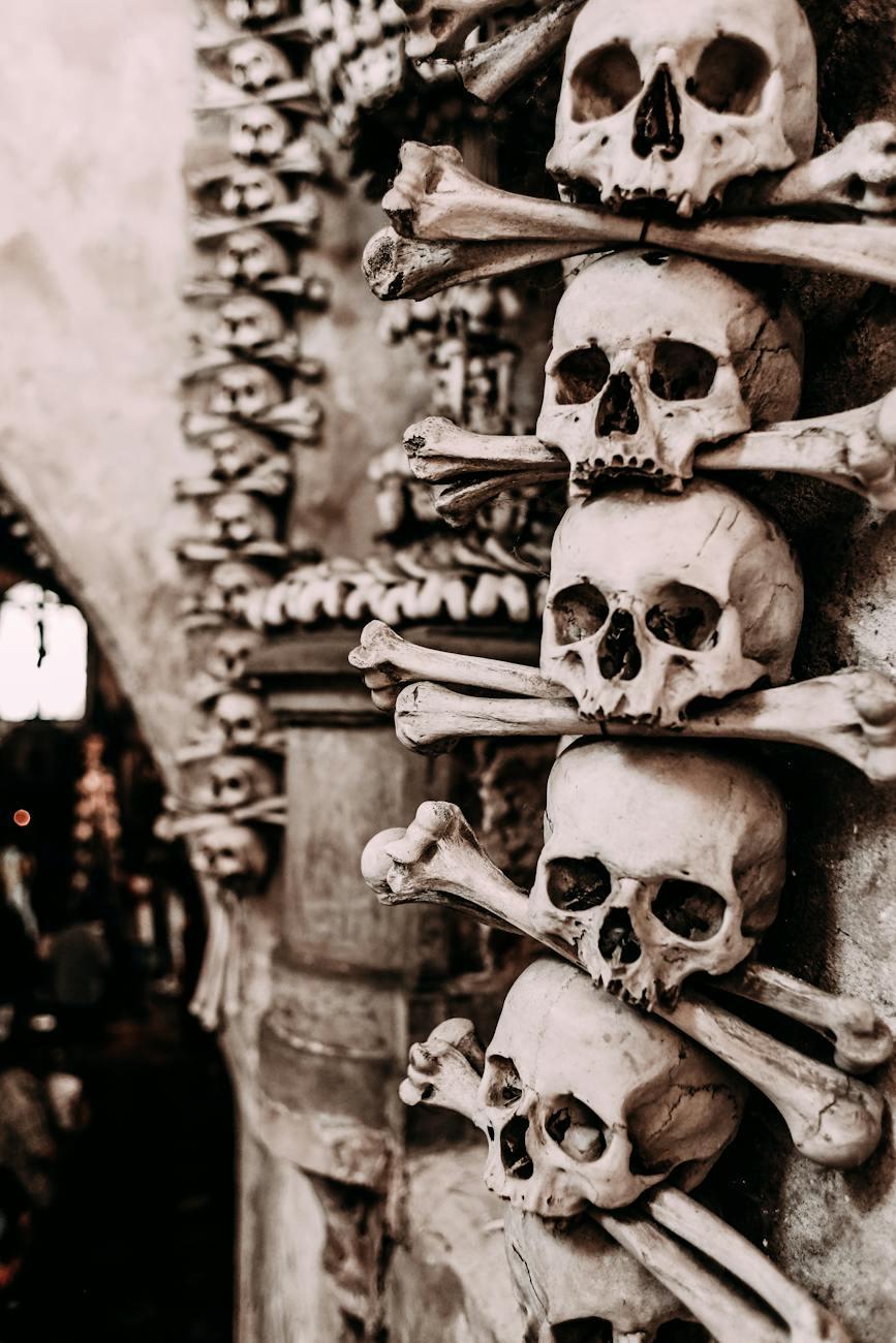 What remains after death 💀? 