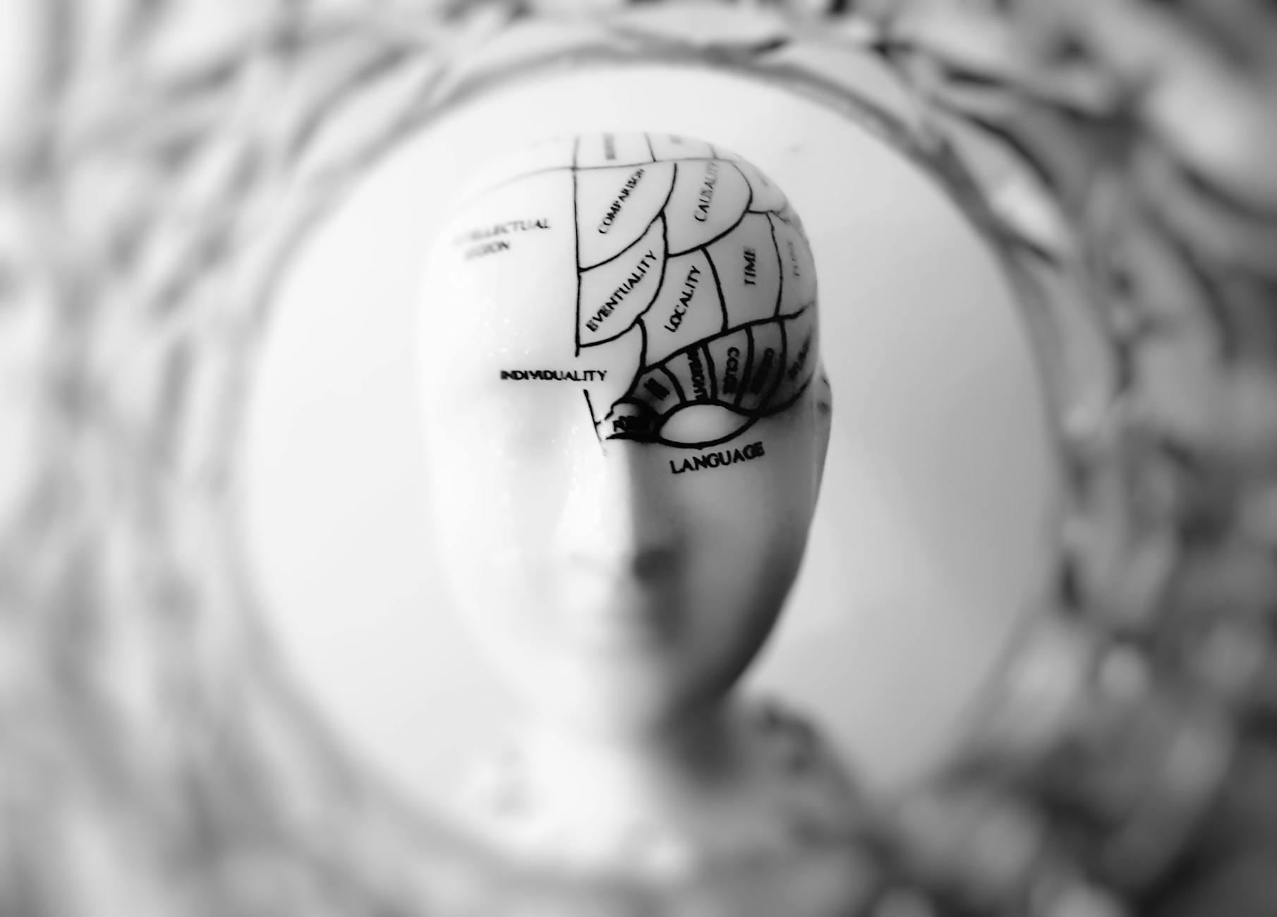 The Secret Power of Sleep: Brainwaves and Brain Health