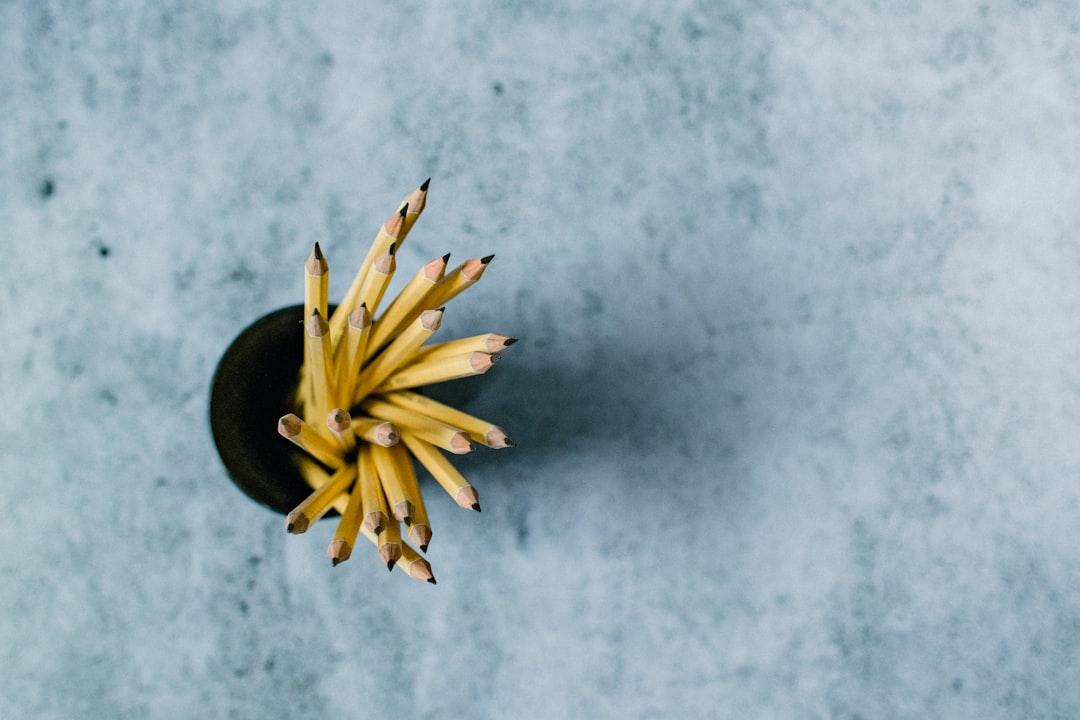 Unraveling the Tapestry of Learning: A Humorous Guide to Expanding Your Mind