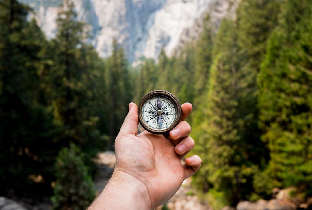 Compass in your gut