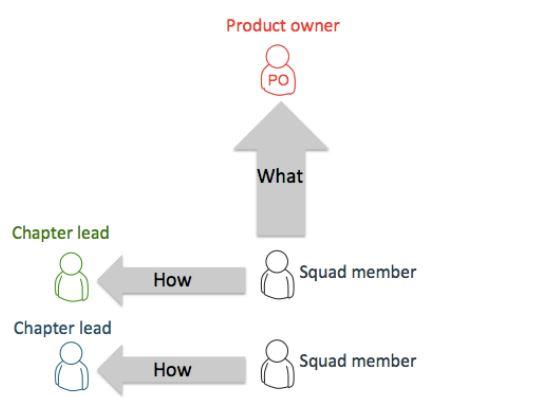 The job of the chapter lead
