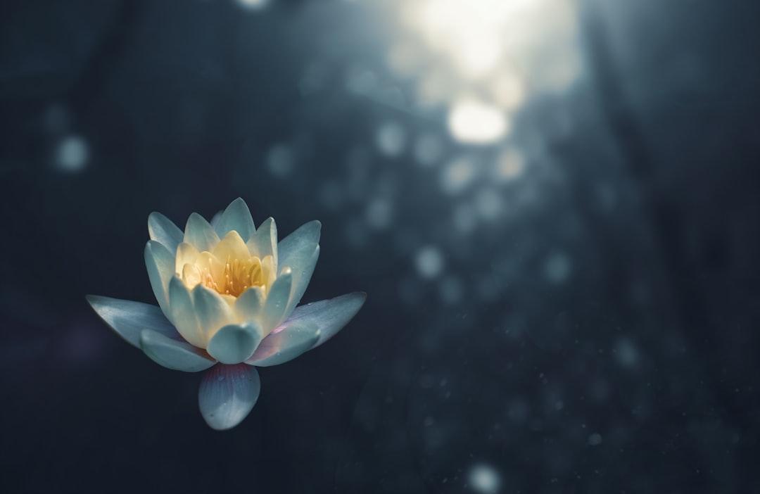 Journey to Self control Mastery