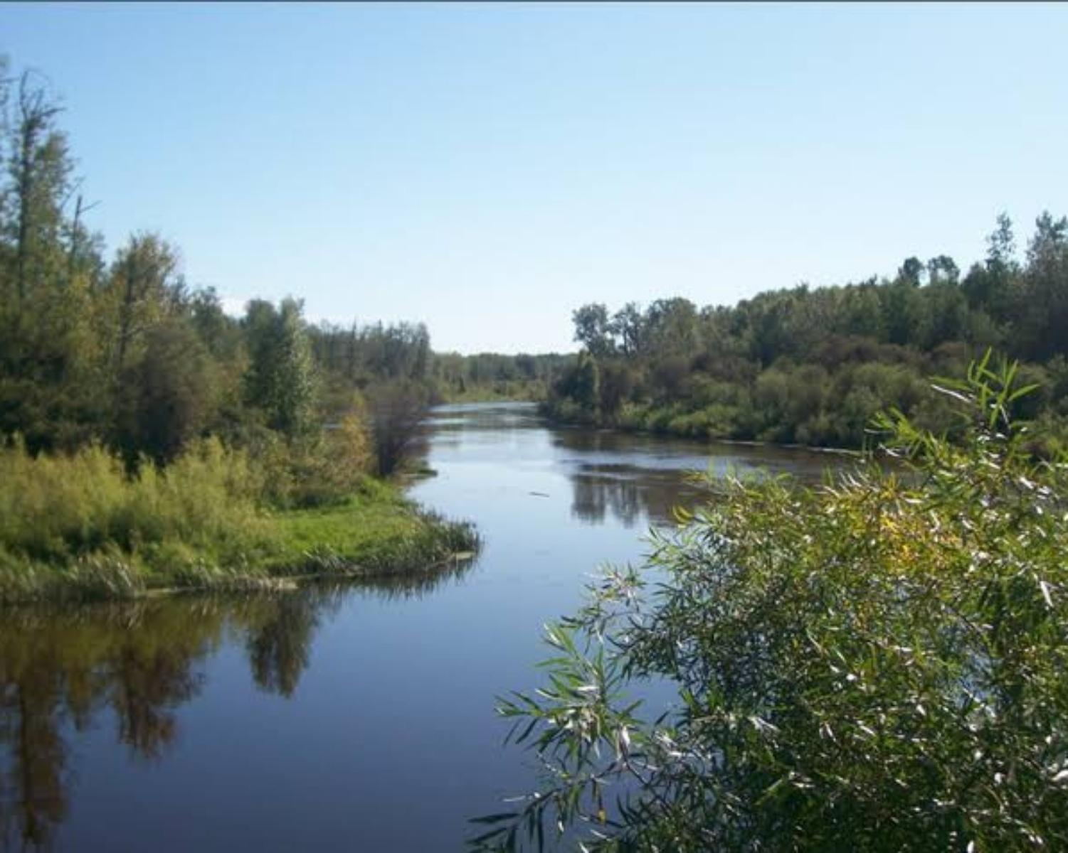 Spend Quality Time in Nature