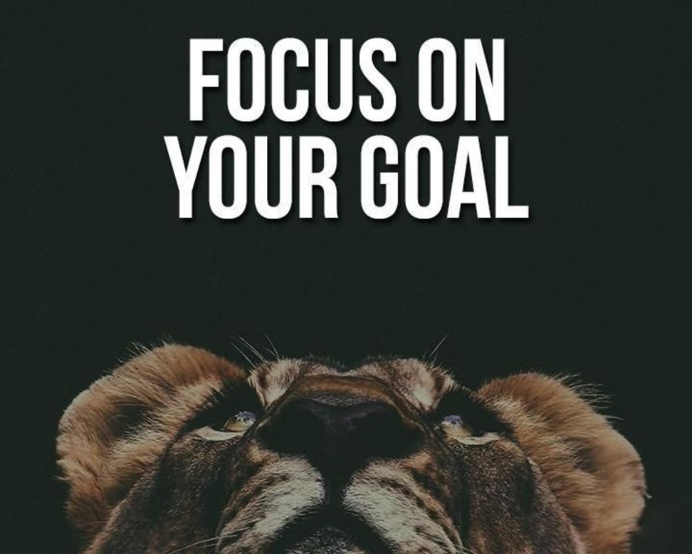 19 Quotes to Lead Your Way to Success