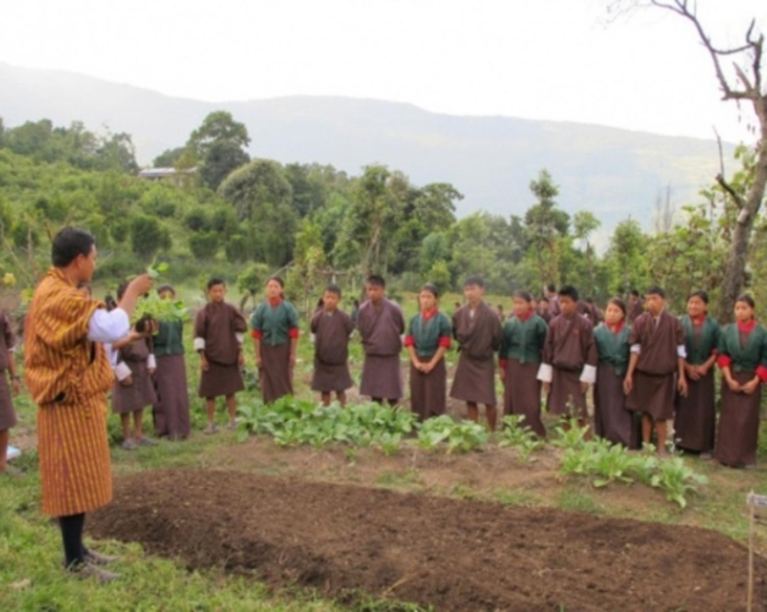 6. Organic Farming 