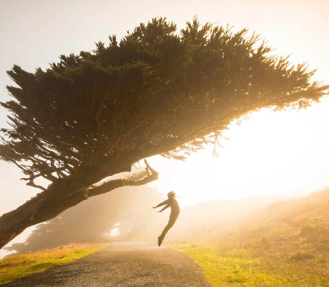 37 Comfort Zone Quotes to Motivate Yourself into Action