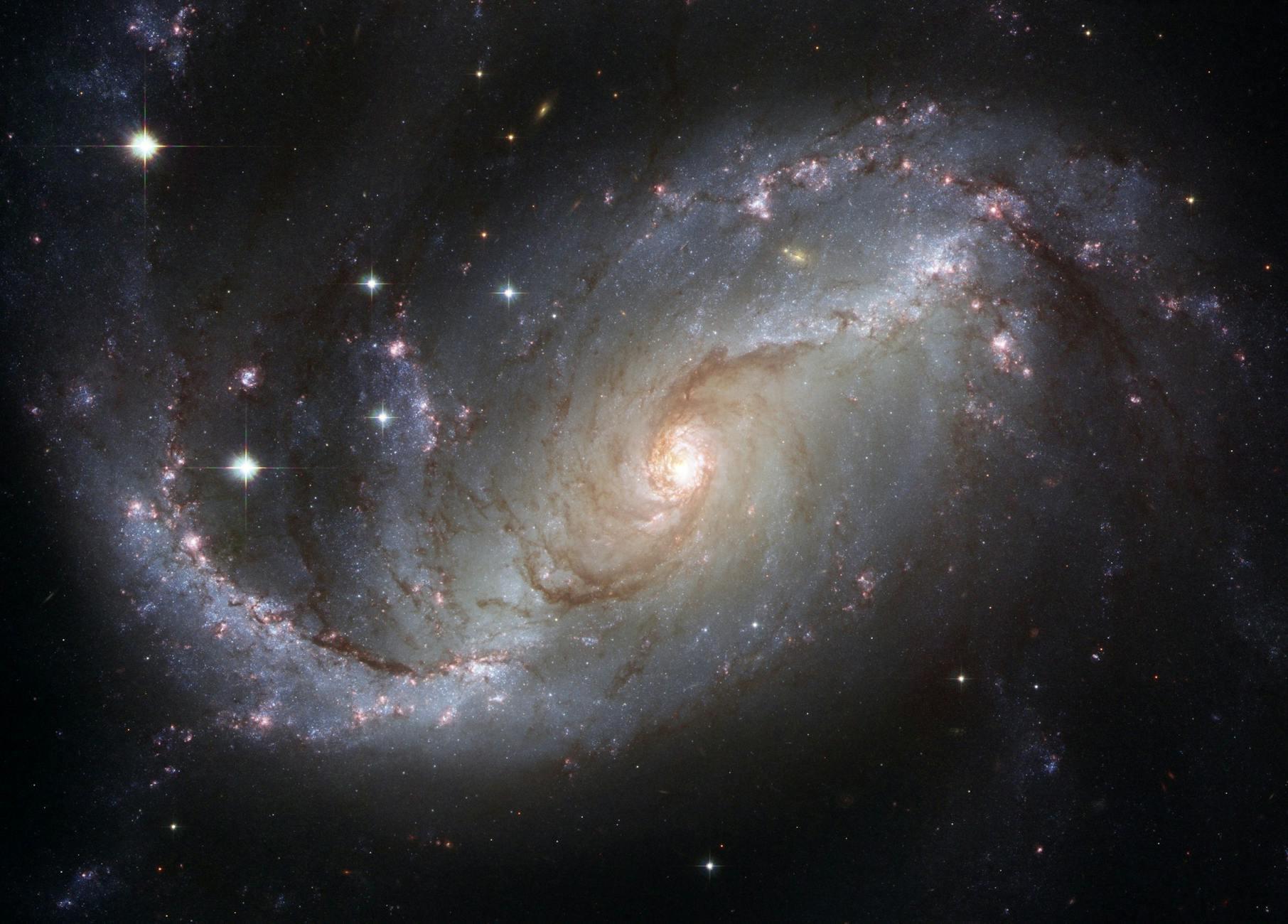Cosmological Beauty