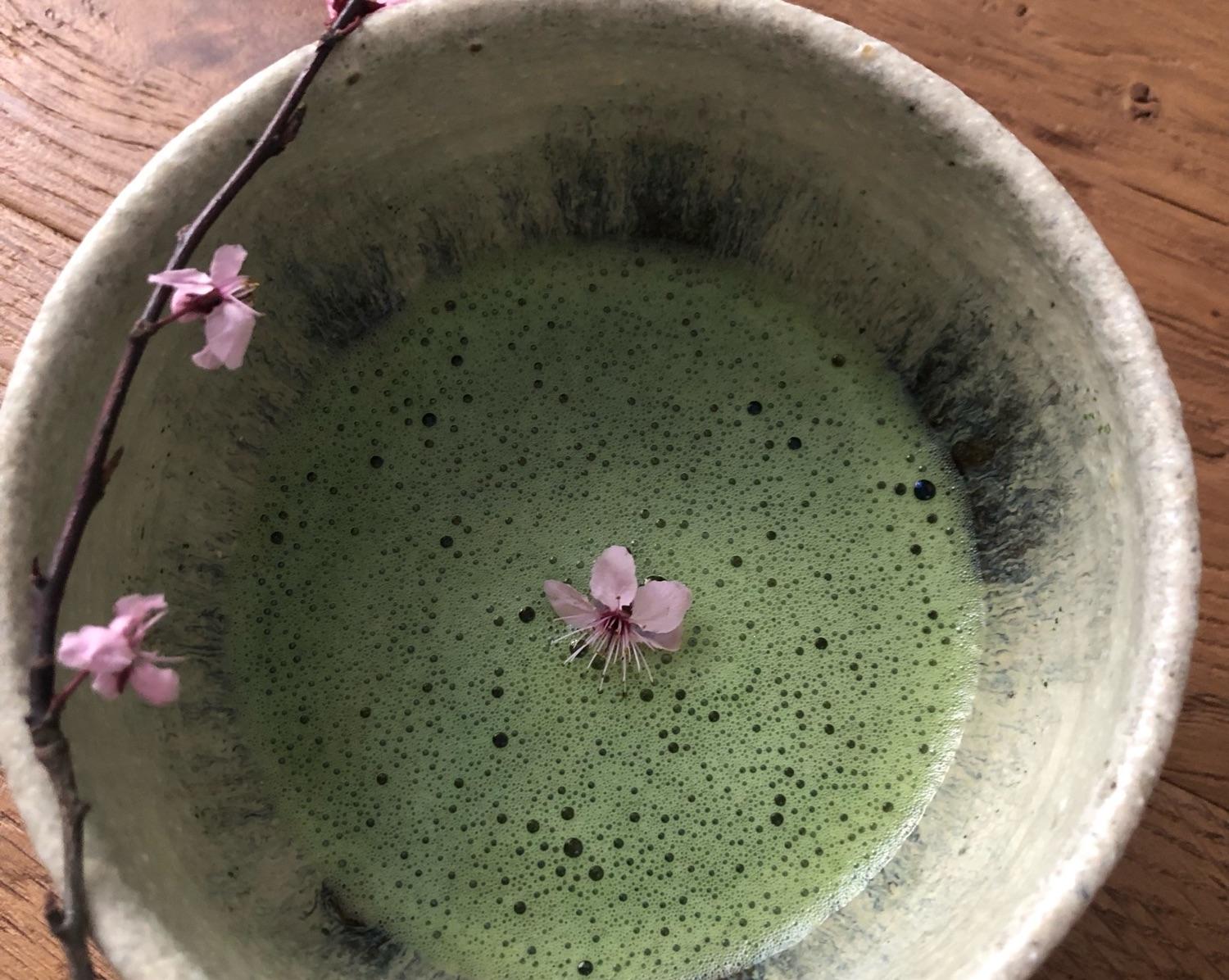 Tea Ceremony as a Unique encounter 
