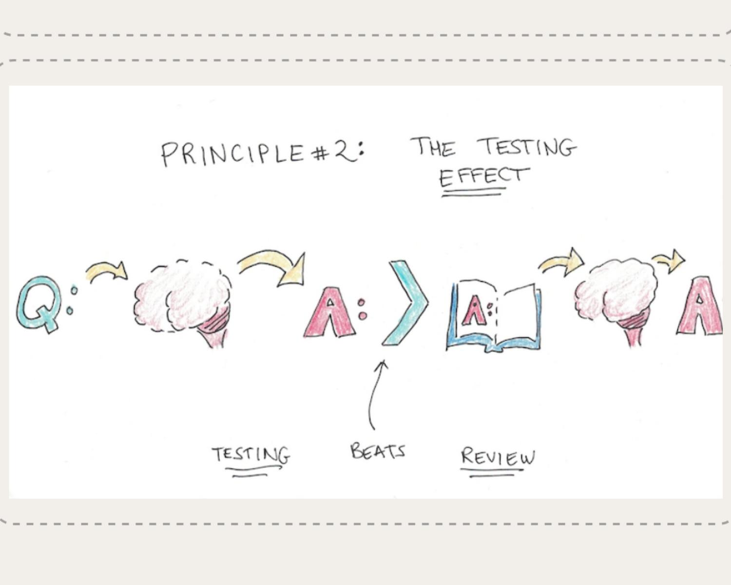 Testing Effect