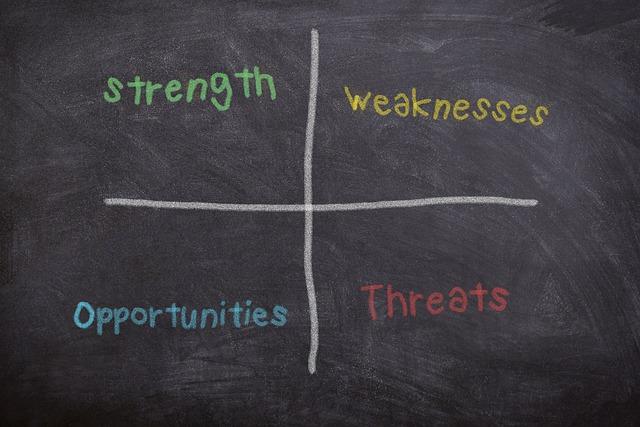 SWOT Analysis/ Audit