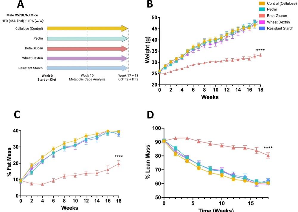 Weight-loss Power Of Oats Naturally Mimics Popular Obesity Drugs