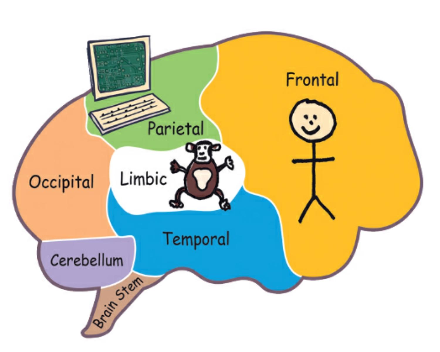 Breakdown Of The Psychological Mind