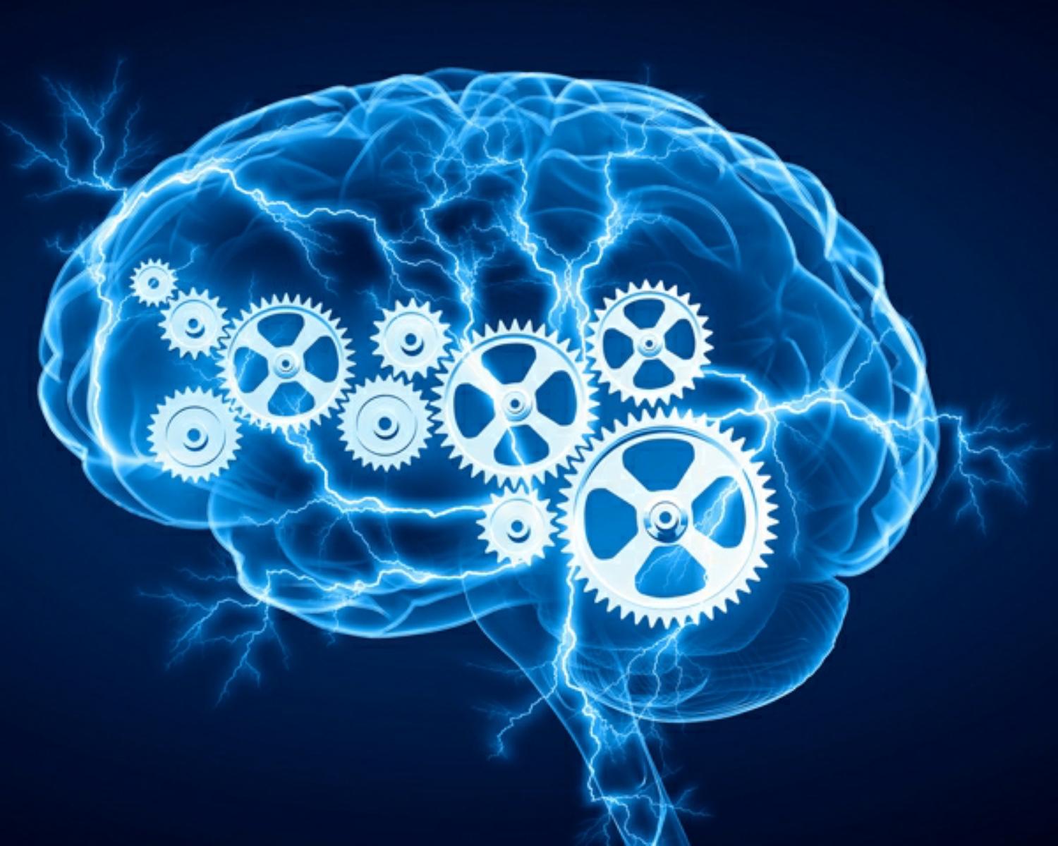Inside Your Mind
